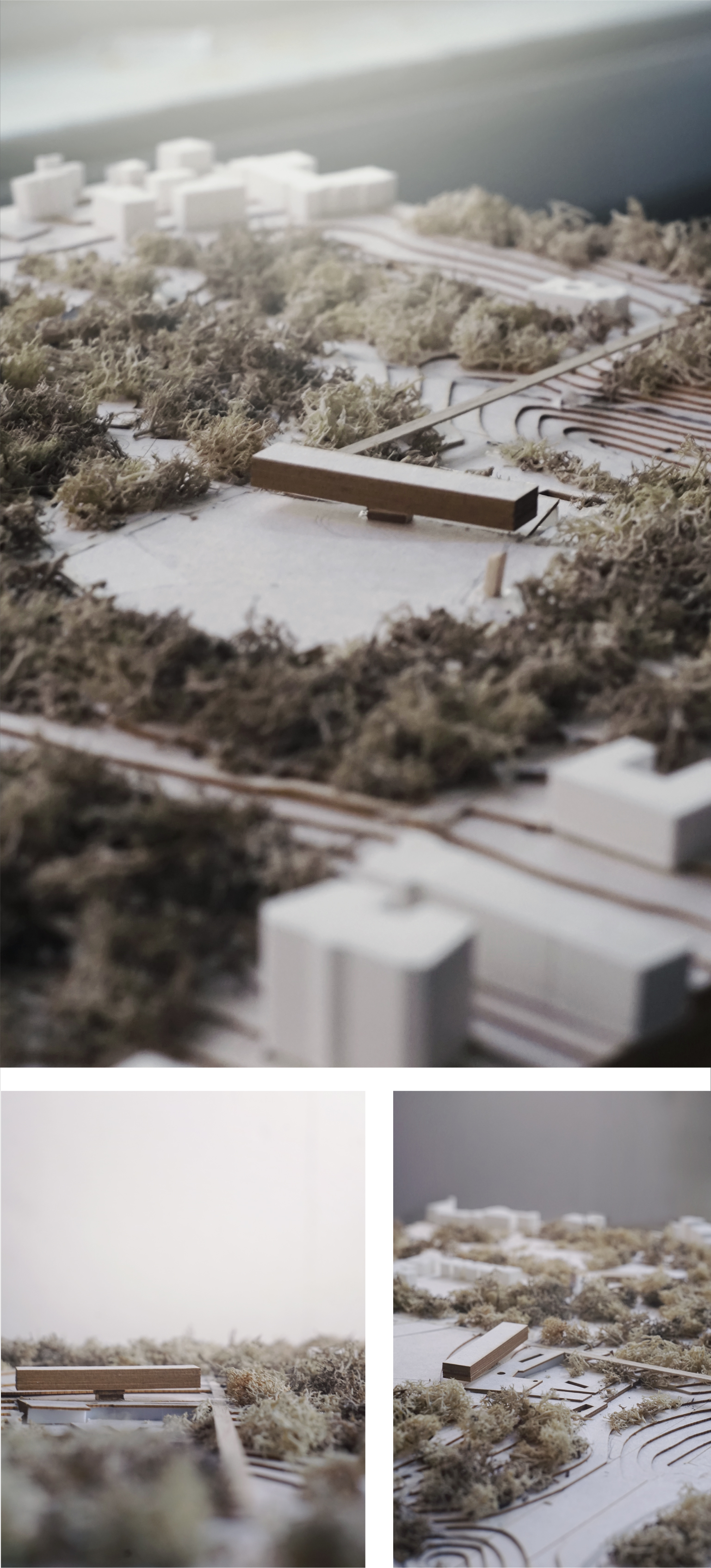 The Glade · 都市公园与文化中心-20