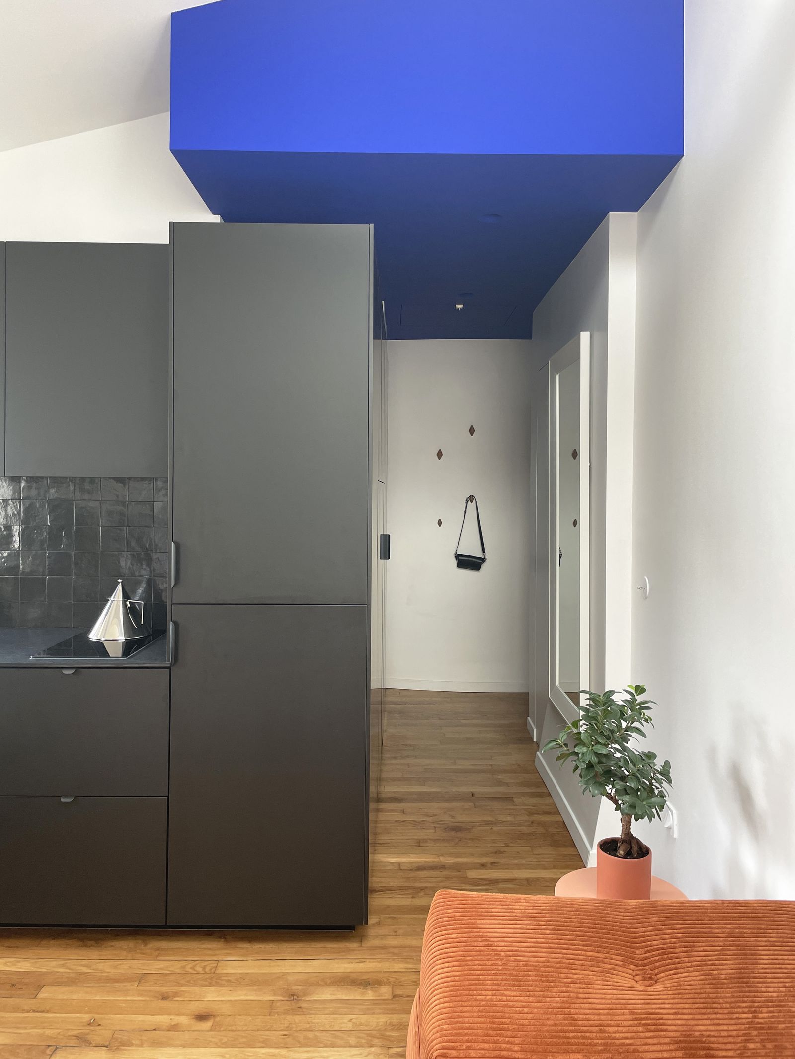 巴黎屋顶下靠近植物园的25平米小公寓丨法国巴黎丨Ami工作室（Charlotte Fontaine等创立）-36