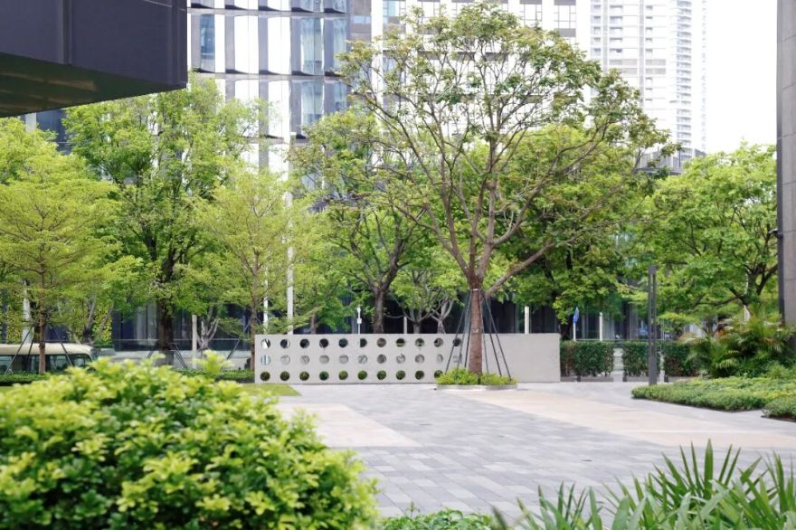 南山中集太子湾大成广场园林景观工程丨中国深圳-34