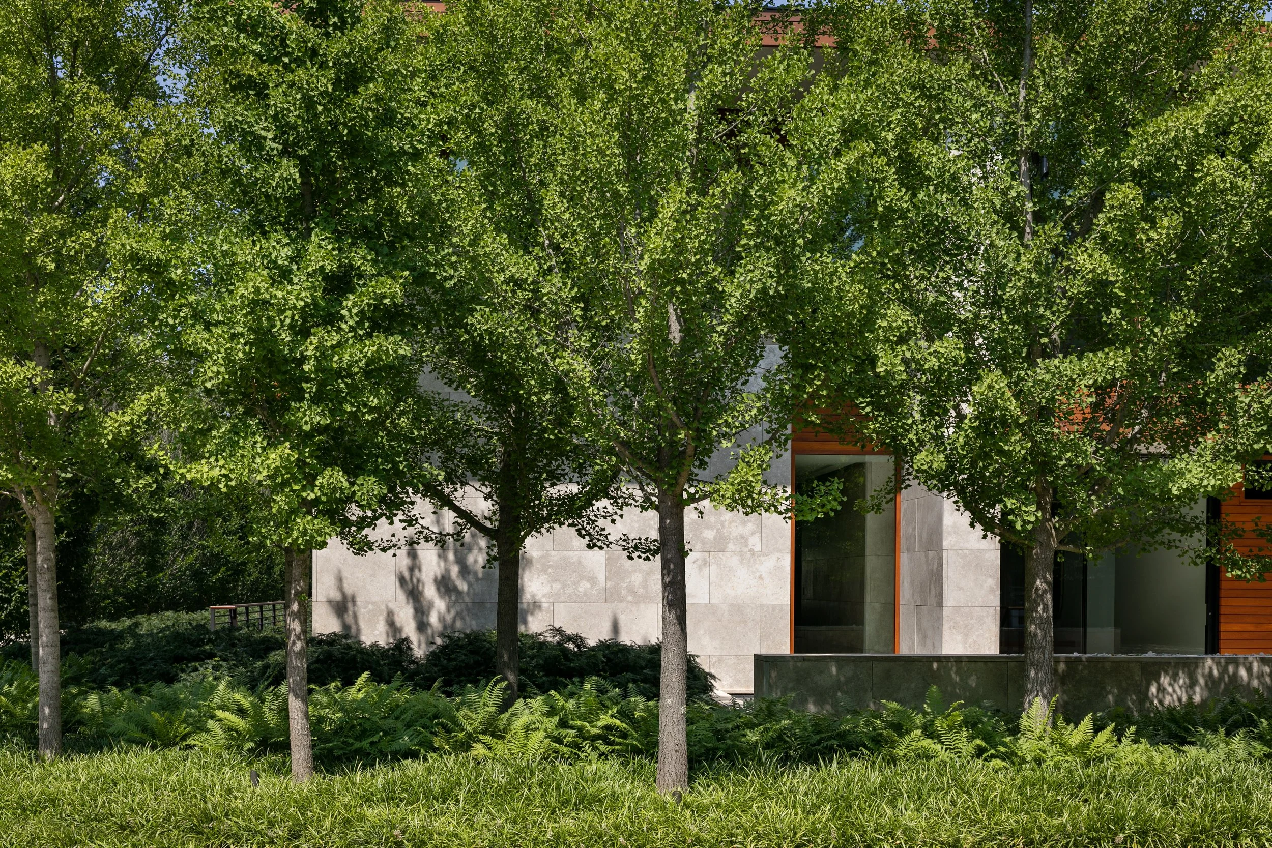 十字路住宅丨美国纽约-1