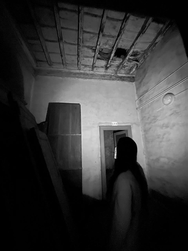 PALAZZO REALE 修复项目丨意大利都灵-11