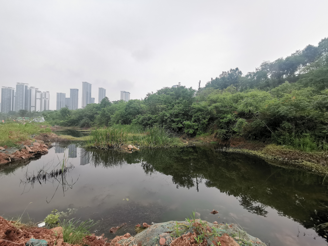 城市掌心的生态山野——麓野公园-53