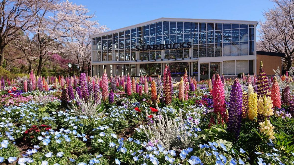 包裹在浪漫花草綠茵間，星巴克進駐東京絕美植物園打造首座療癒系溫室花園！ - WEHOUSE-1