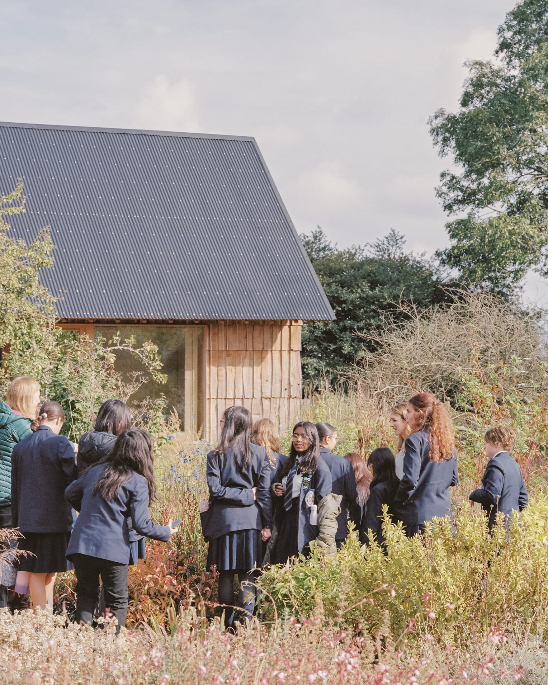 果园丨英国丨Okra-31