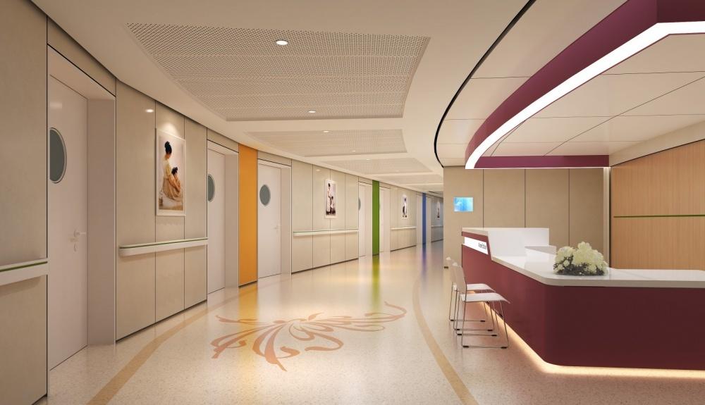 
医院—妇幼保健院妇产科类 -1