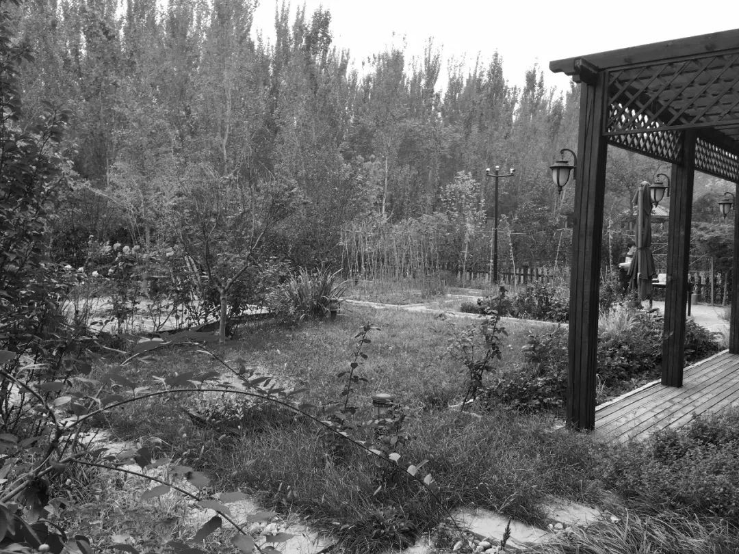 北京密云 450㎡花园改造，四季美景尽收眼底-11