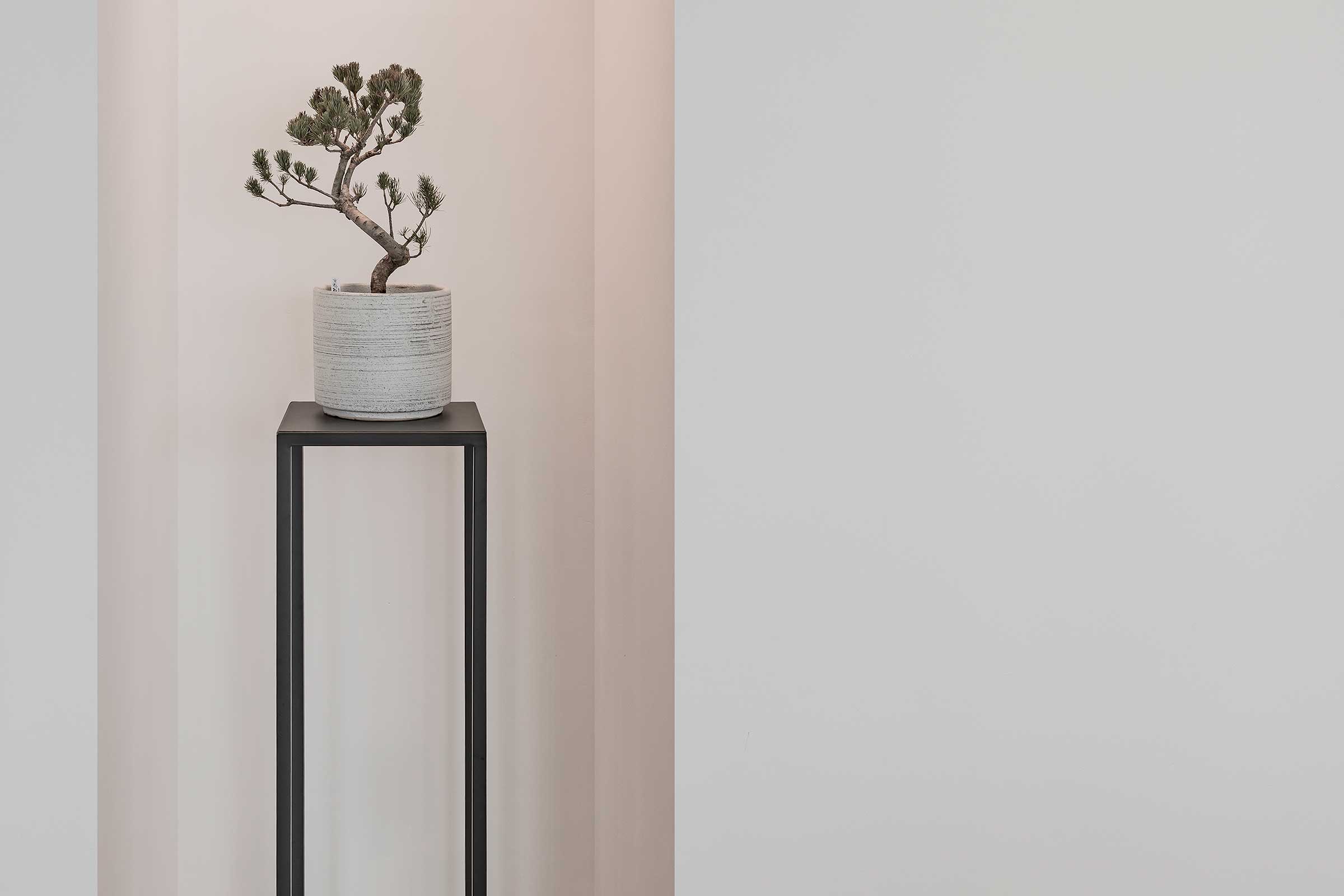 A Bright and Light City Home — Design Anthology-4