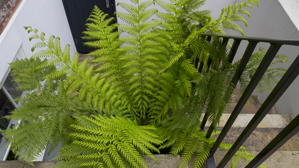 海德谷 约翰·戴维斯景观设计（这里假设Landscape结合语境是景观设计的意思，若有更准确的背景信息，可根据实际调整） -29