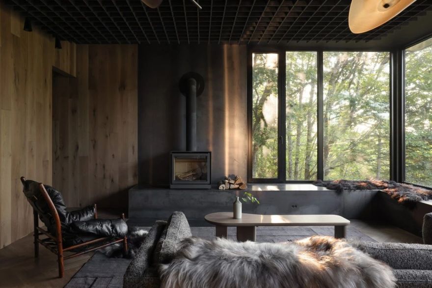 升高的座舱丨加拿大丨Omar Gandhi Architects-17