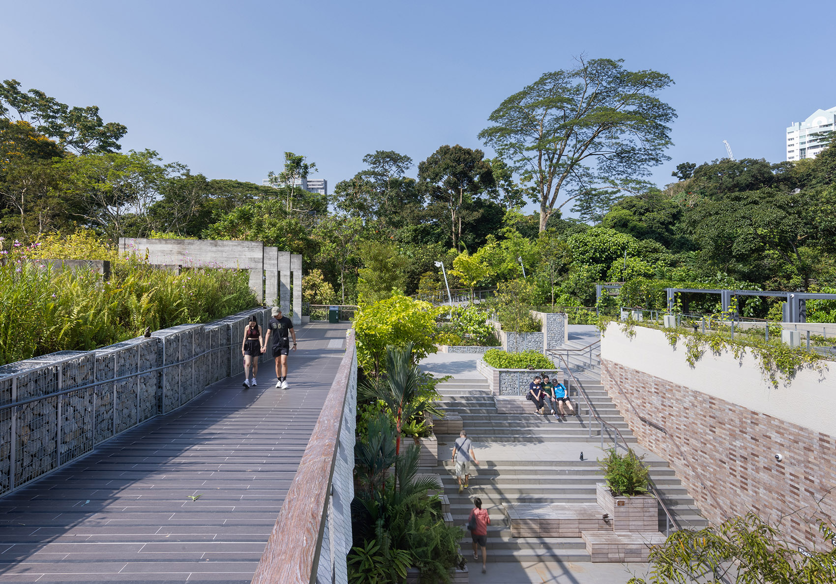 射靶场自然公园丨新加坡丨Henning Larsen-42