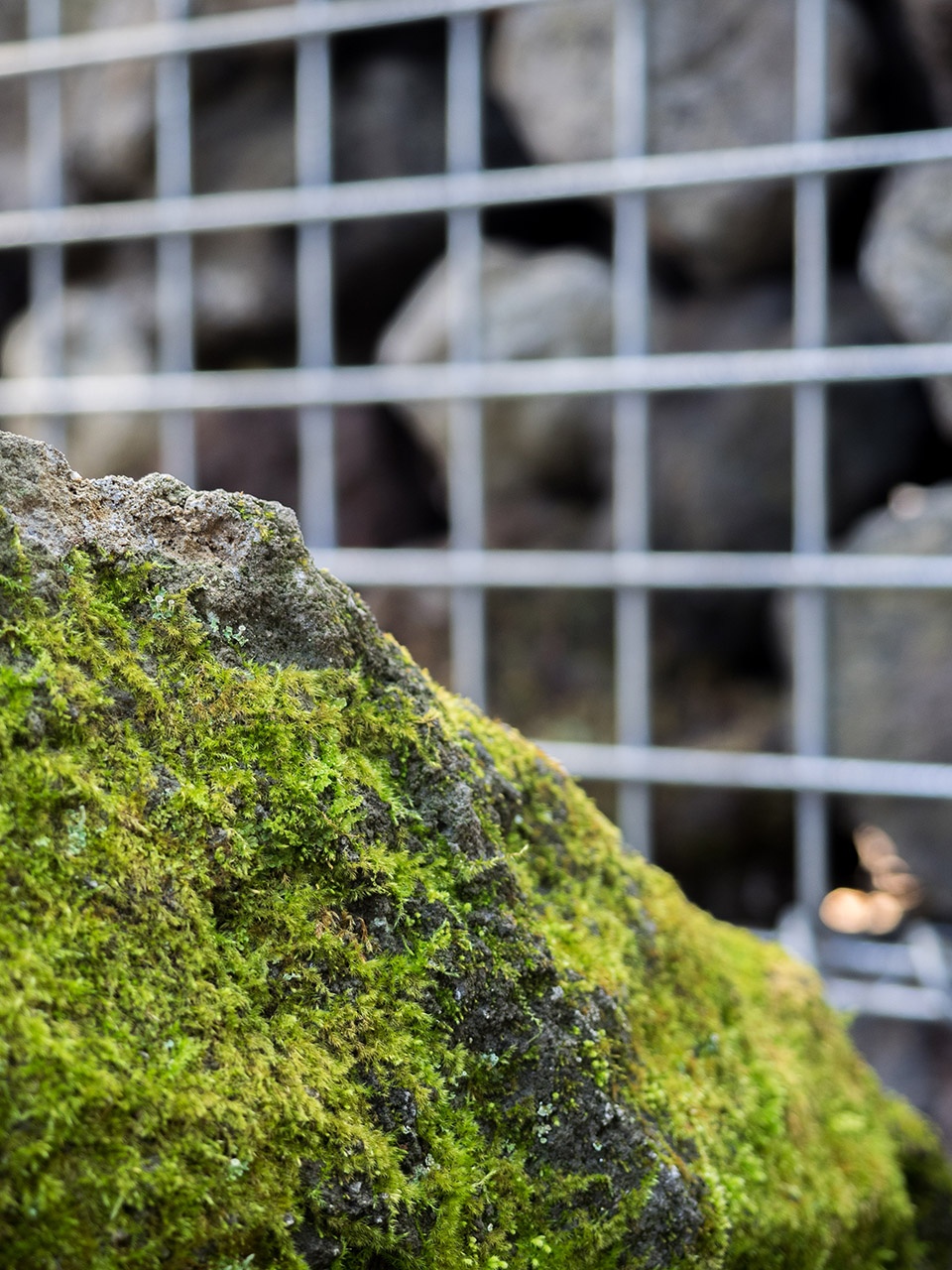 Regina Resort 旧轻井泽度假酒店丨日本丨户田芳树风景计画-47