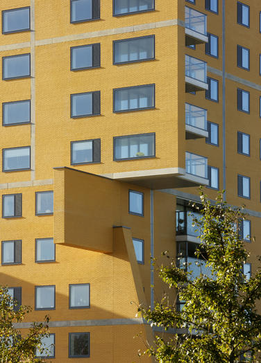 法罗斯（埃及亚历山大港外的一个岛名，岛上曾建有著名的灯塔）丨Liesbeth van der Pol及其团队-24