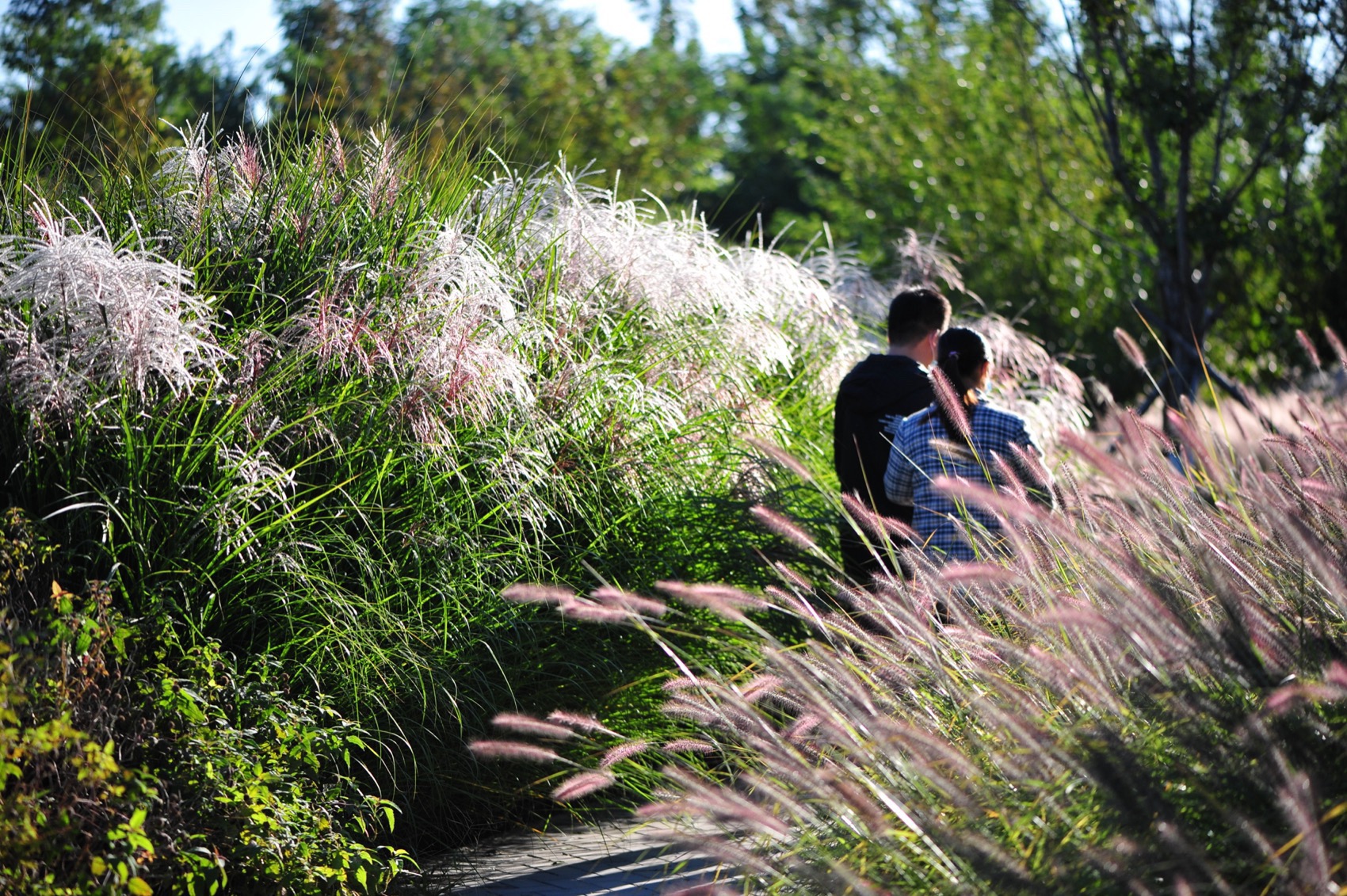 北京饮鹿池公园丨中国北京丨BLLA冯潇工作室,北京山水和泓风景园林设计院有限公司-23