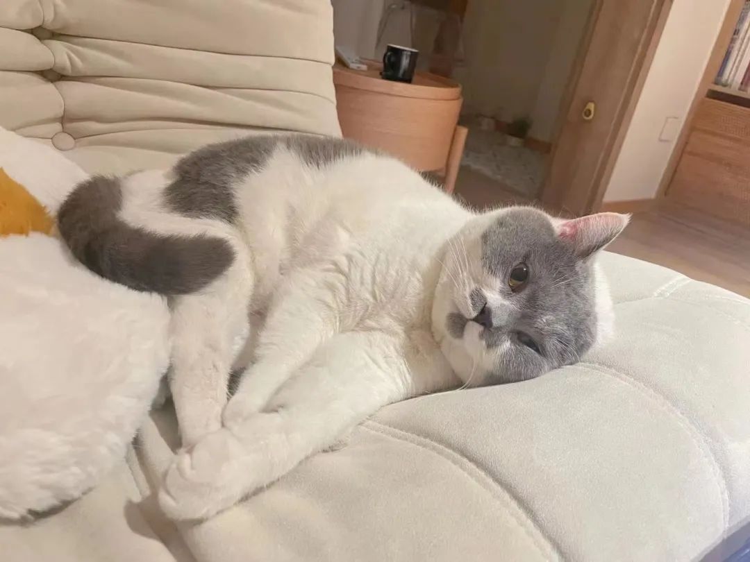 成都小姐姐的梦幻日式小宅丨中国成都丨李大脓-96