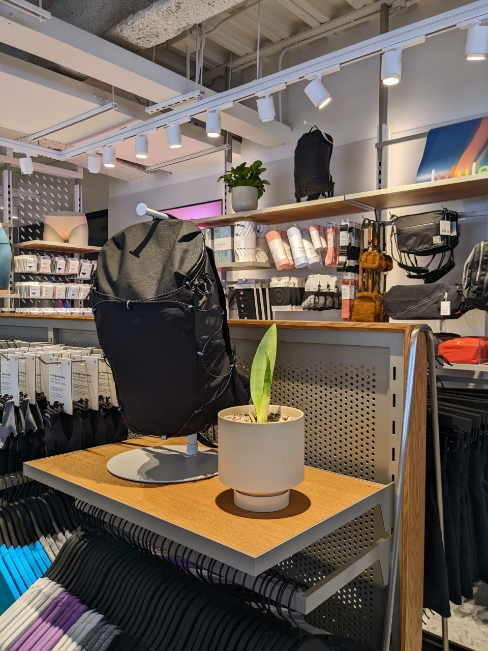 商業空間| lululemon忠孝復興｜植栽風格選配-3