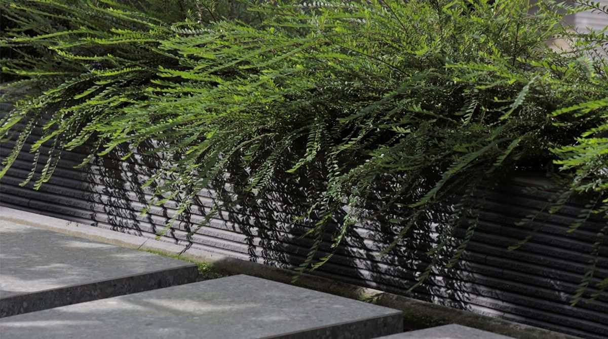 和谐共生 · 现代家庭中的传统越南之美-38