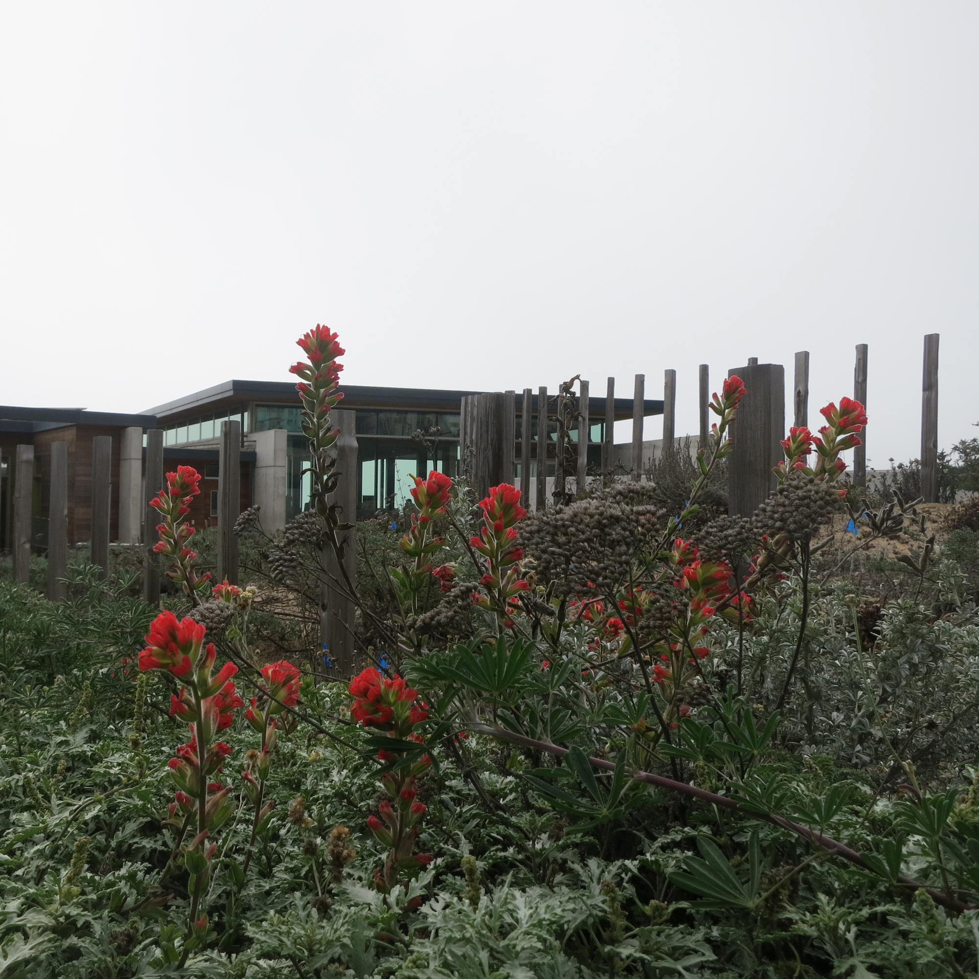 地极看丨中国金山丨Surfacedesign,Inc-8