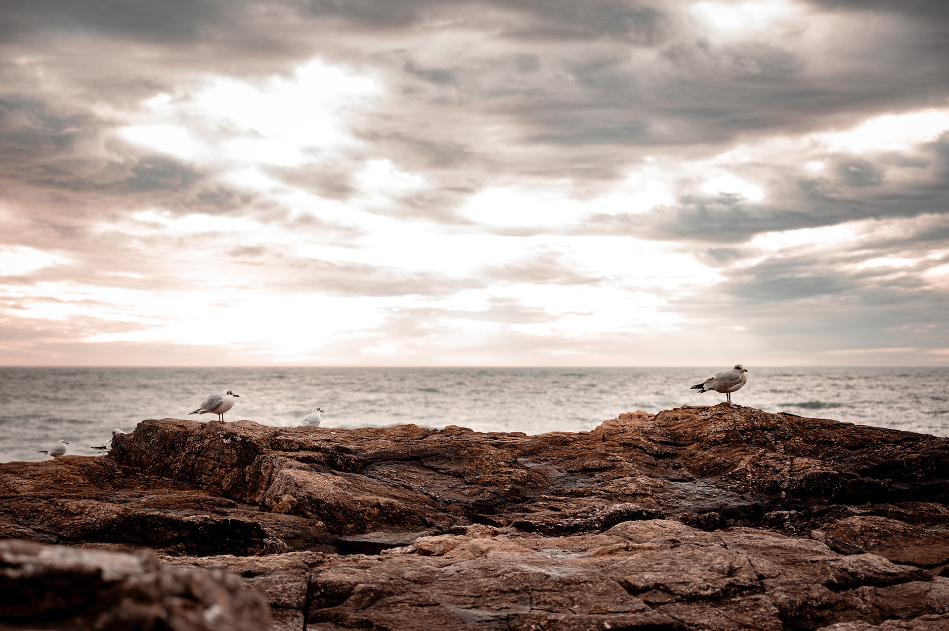 海洋与沙滩摄影作品丨rach_vdb 和 hash_yan-14