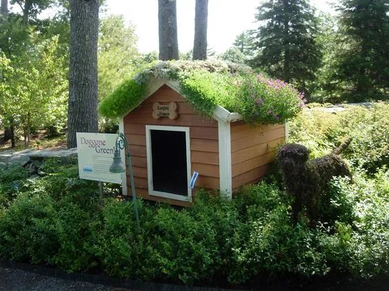 庭院宠物之家 | 打造宠物宜居的户外空间-30