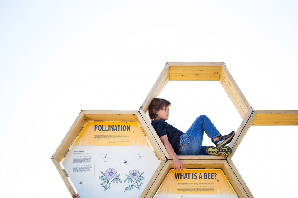 城市蜂巢 · 加拿大社区蜜蜂教育项目-31