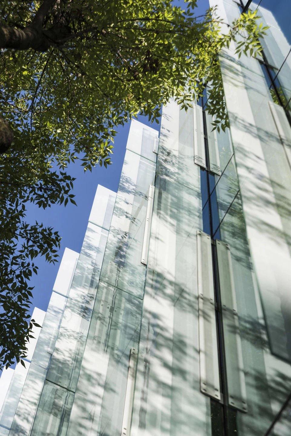 墨西哥城办公空间革命-17