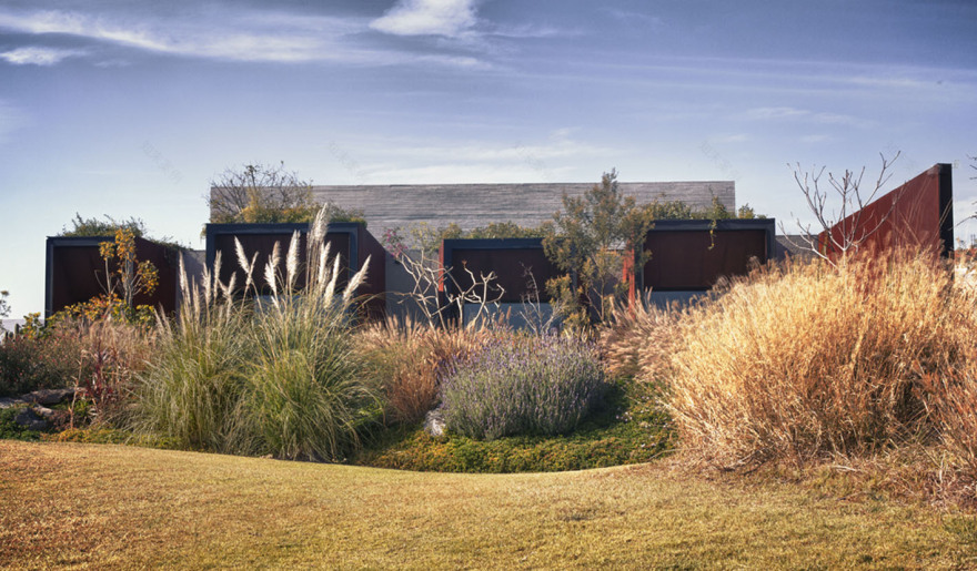 墨西哥巴尔加斯住宅丨Isaac Broid Arquitecto-12