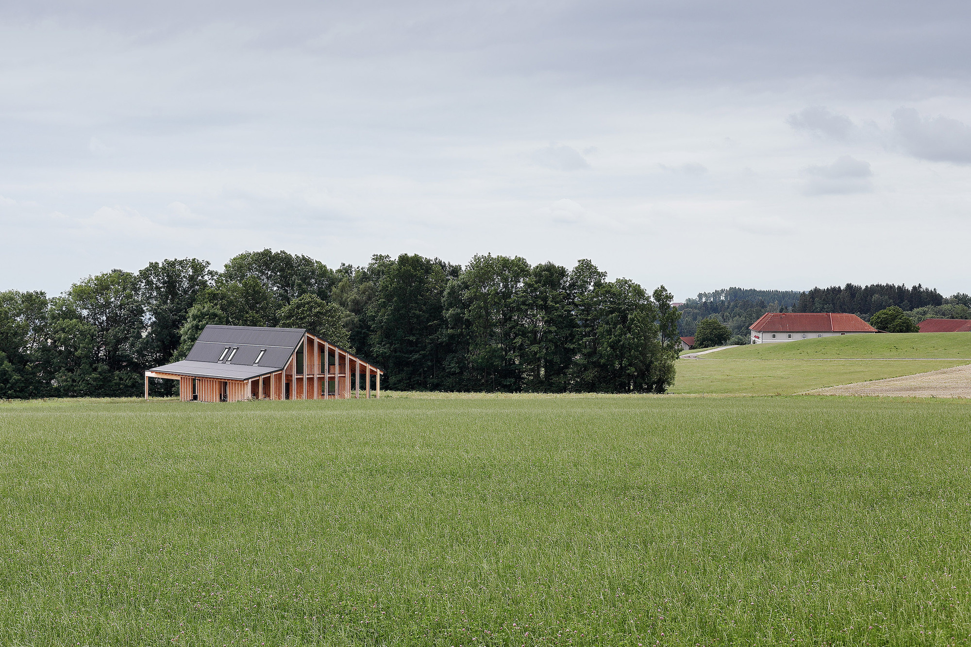 房子 SF 或 众议院 SF （具体需根据上下文确定）丨奥地利丨Moser und Hager Architekten-10