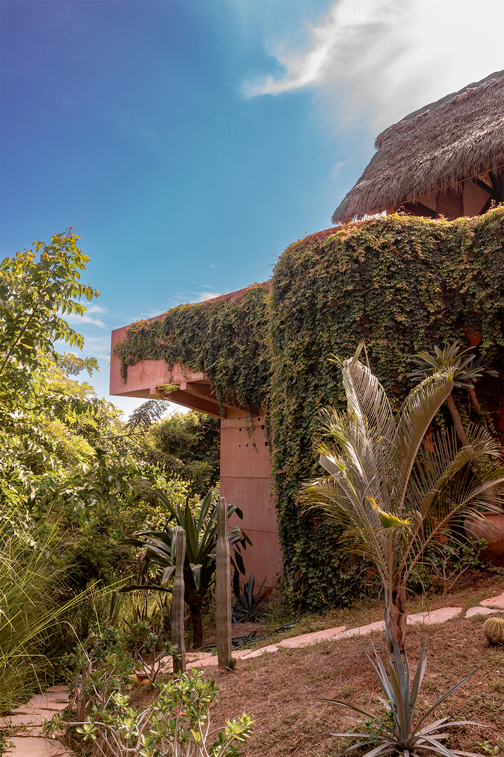 Casa Rosada 住宅丨墨西哥瓦哈卡-8