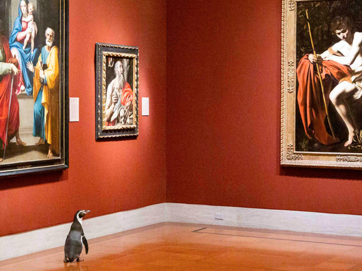 Adidas × Tommy Cash: самые длинные кроссовки в мире-6