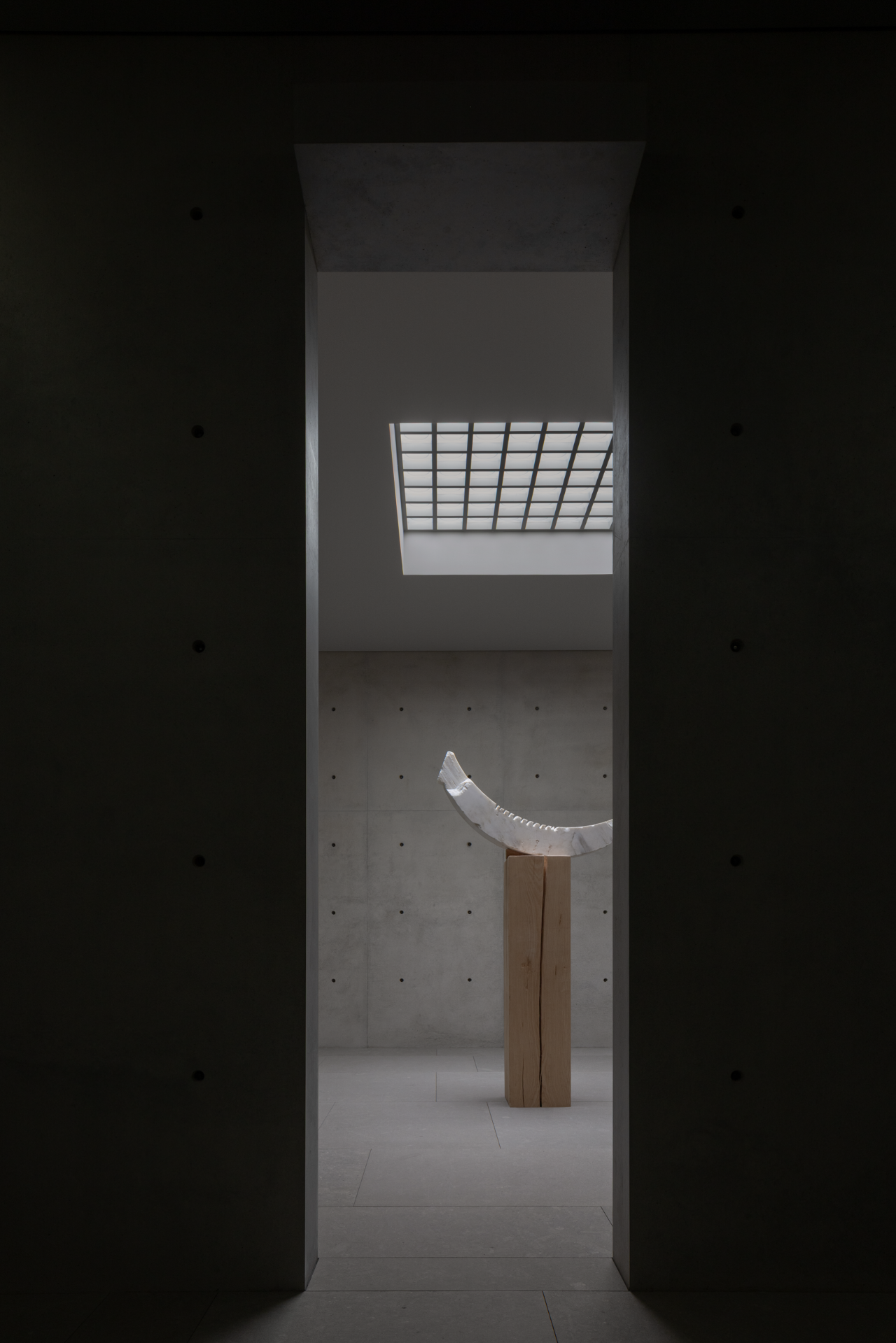 沈阳在舍 Z SPACE丨中国沈阳丨鹏和朋友们-26