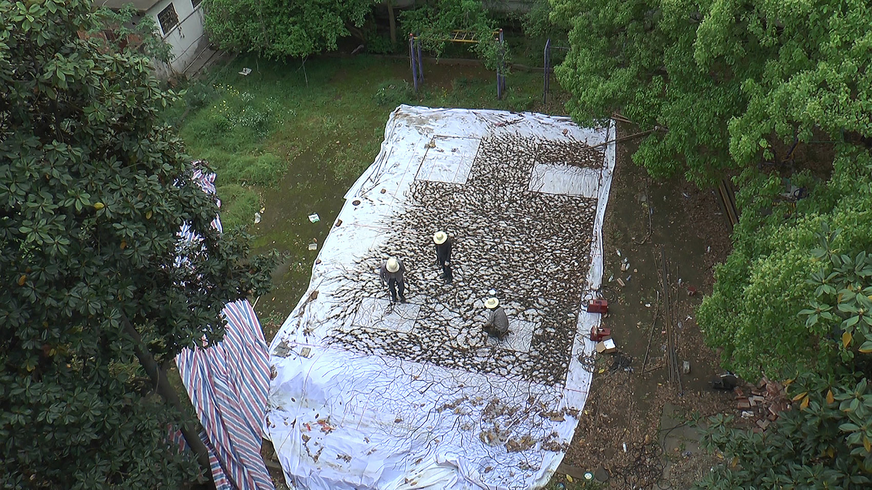 艺术创作《封存》、《爬山虎的家》，湖南 / V studio-39