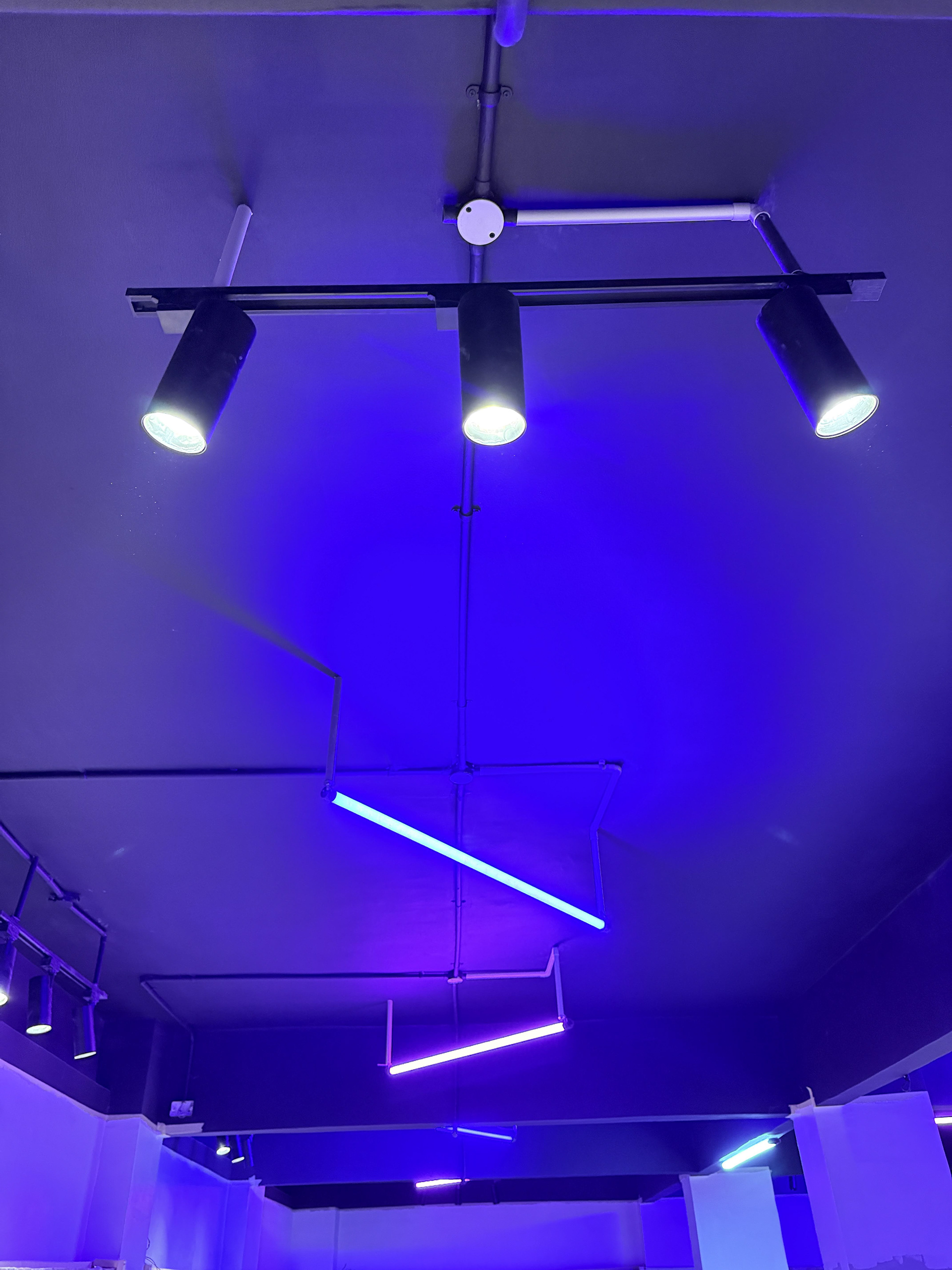 MMA Lupus Academy | Interior Design-21