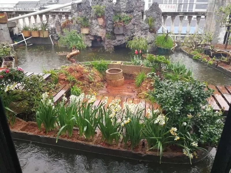 不惑之年，他自己动手建了一座楼顶花园，养花种菜喂鱼……-78