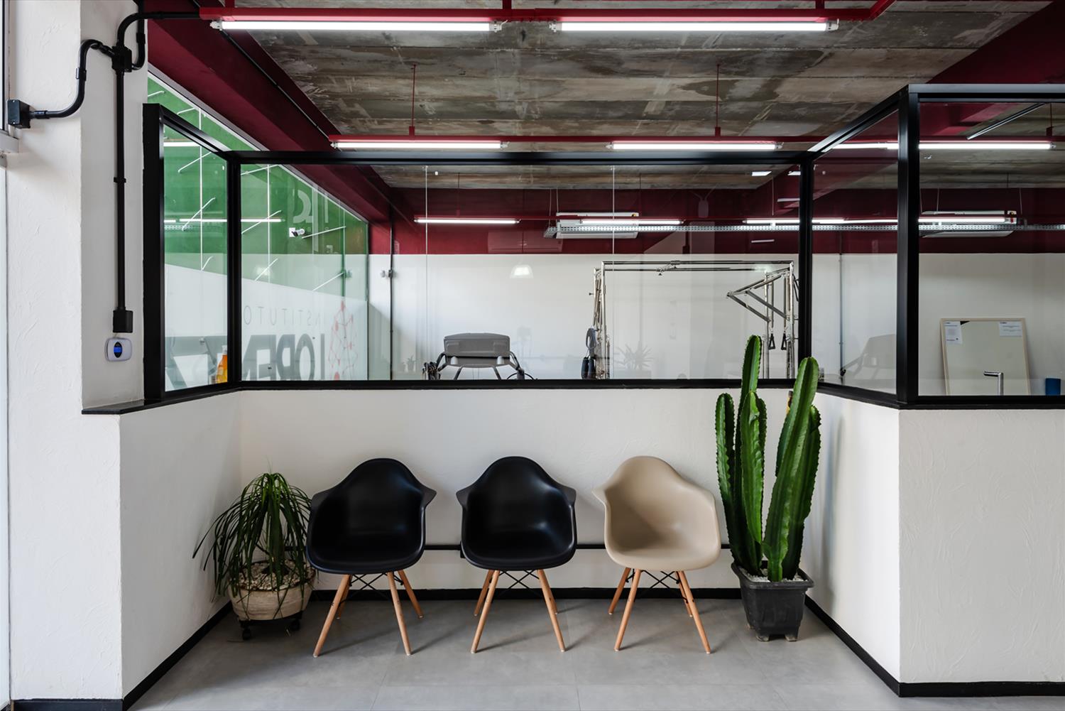 巴西 Instituto Lorentz 运动康复中心-4