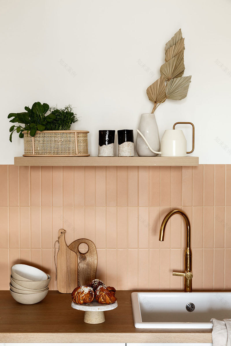 圣彼得堡 44 平米民族风格小公寓设计-5