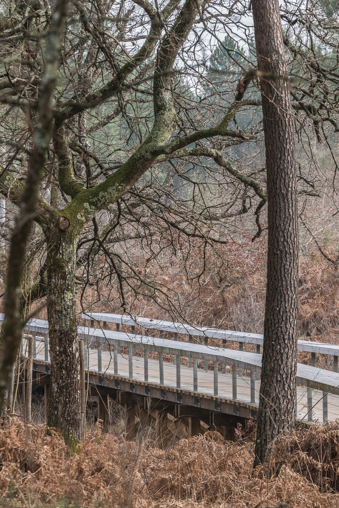 法国圣保罗勒达克体育广场·绿色景观中的多功能运动空间-56