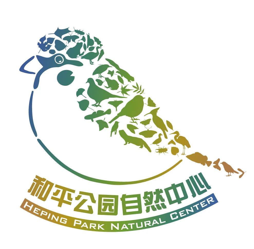 案例 | 上海首个在公园中的自然中心——和平公园自然中心-67