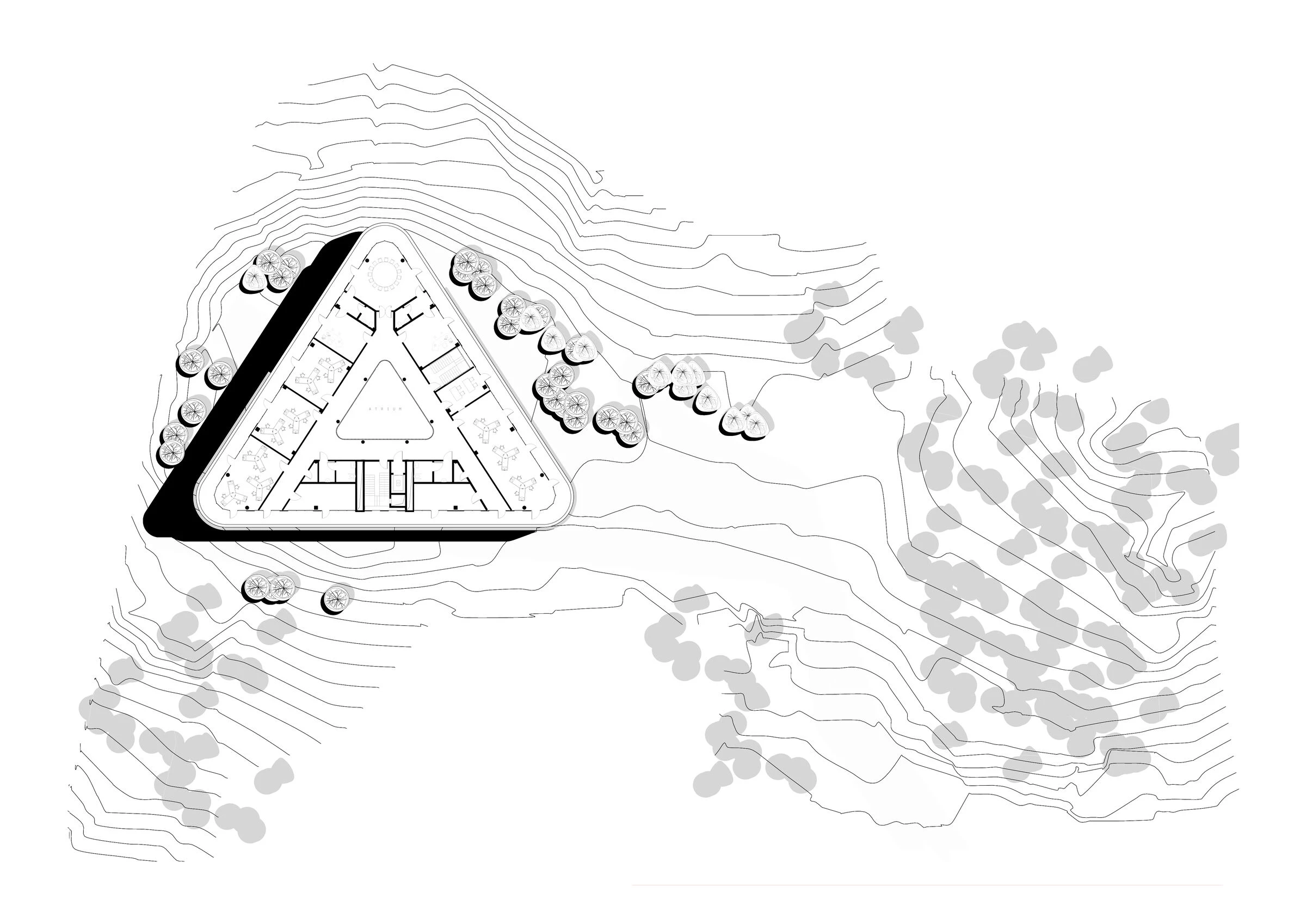 Georgian Bar Association Head Office-10