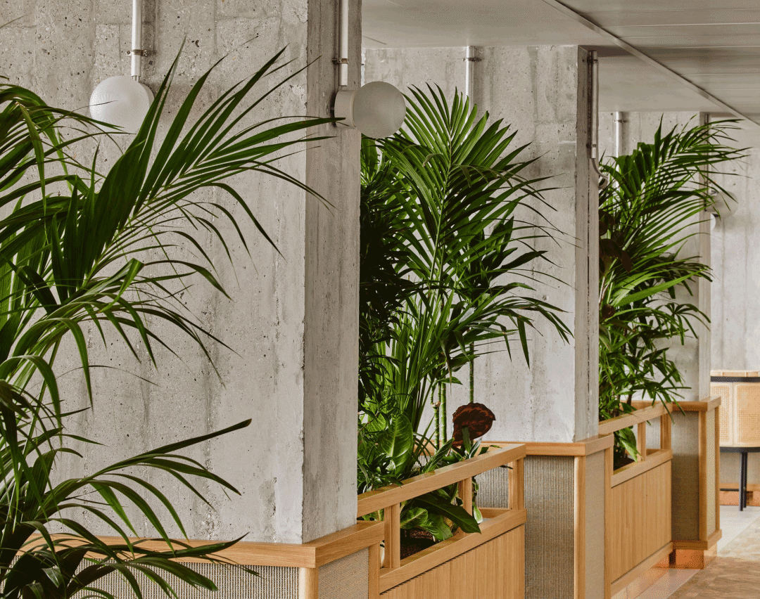 德国明朗度假风 Apartment Hotel丨德国慕尼黑丨伦敦 Holloway Li 工作室-31