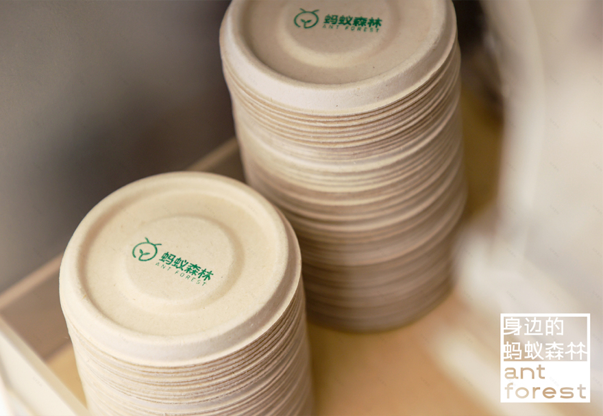 《森林LAB · 城市里的荒漠森林》互动展览丨中国杭州丨蚂蚁森林×不是美术馆-32