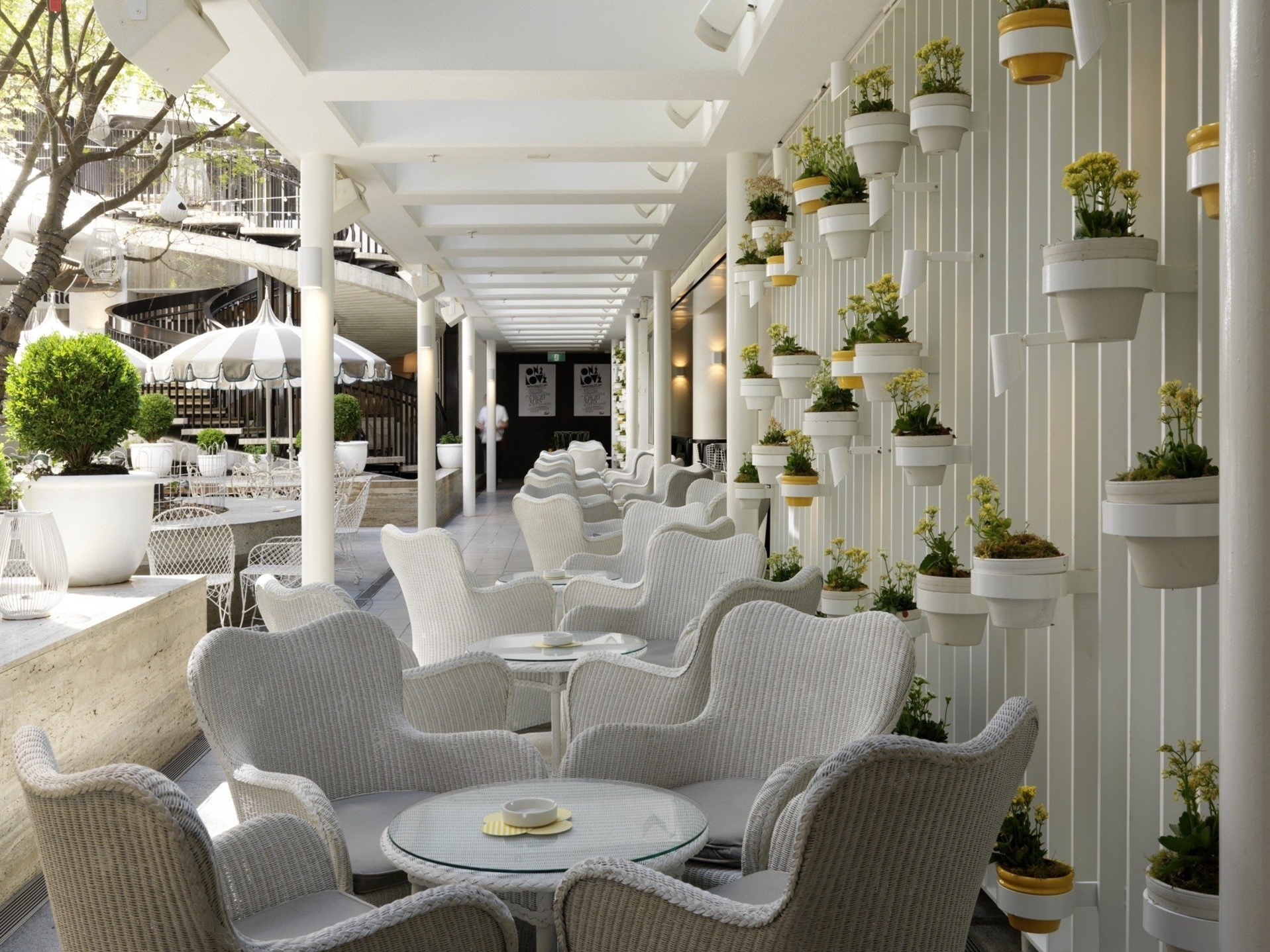 澳大利亚 Ivy酒店-3