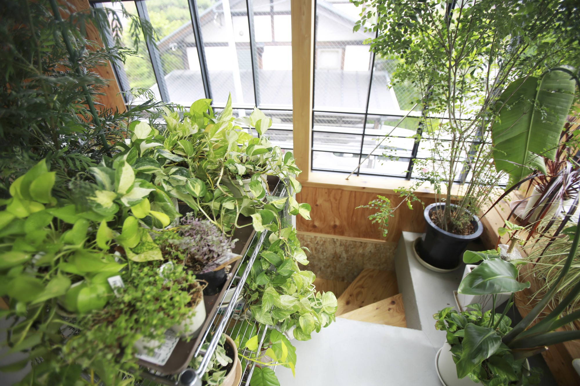 木本之家丨日本丨Niko Design Studio-31