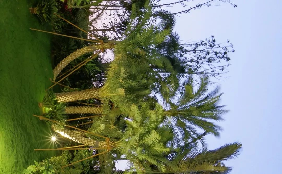 自然的魅力与艺术 | 广州龙湖 · 双珑原著-50