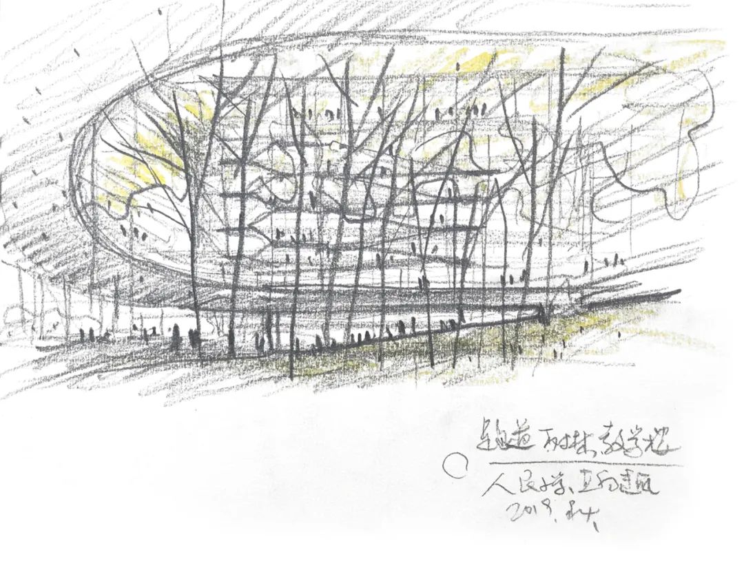 深圳新校园行动丨中国深圳-15