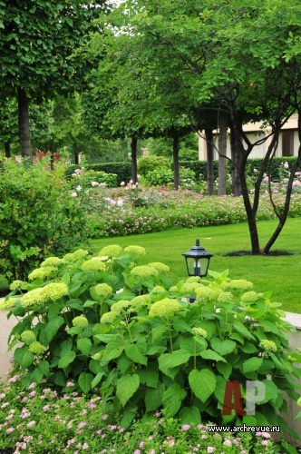 带草坪的公园景观设计（浪漫公园带草坪）丨俄罗斯莫斯科丨IL NATURE-34