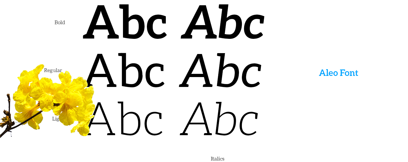 EPP&D 2019 视觉形象设计丨巴西巴西利亚-16