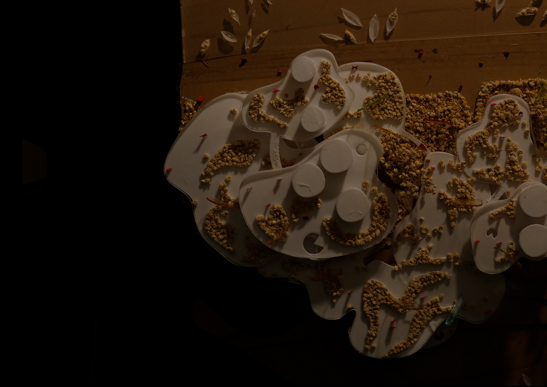 EXHIBITION CENTERS & PROMOTION OF AGRICULTURAL PRODUCTS-24