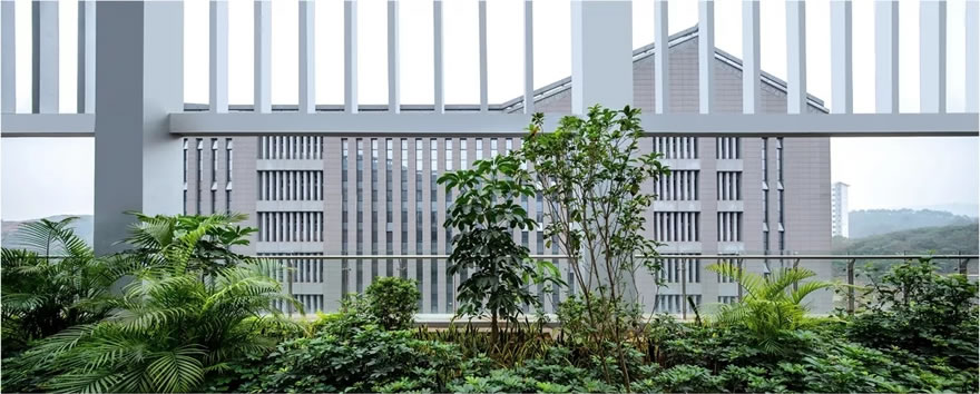 南宁市国家档案馆（含南宁市方志馆）-50