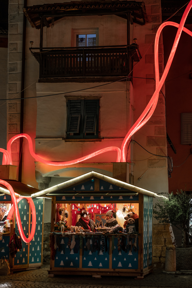 卡米在低语森林-30