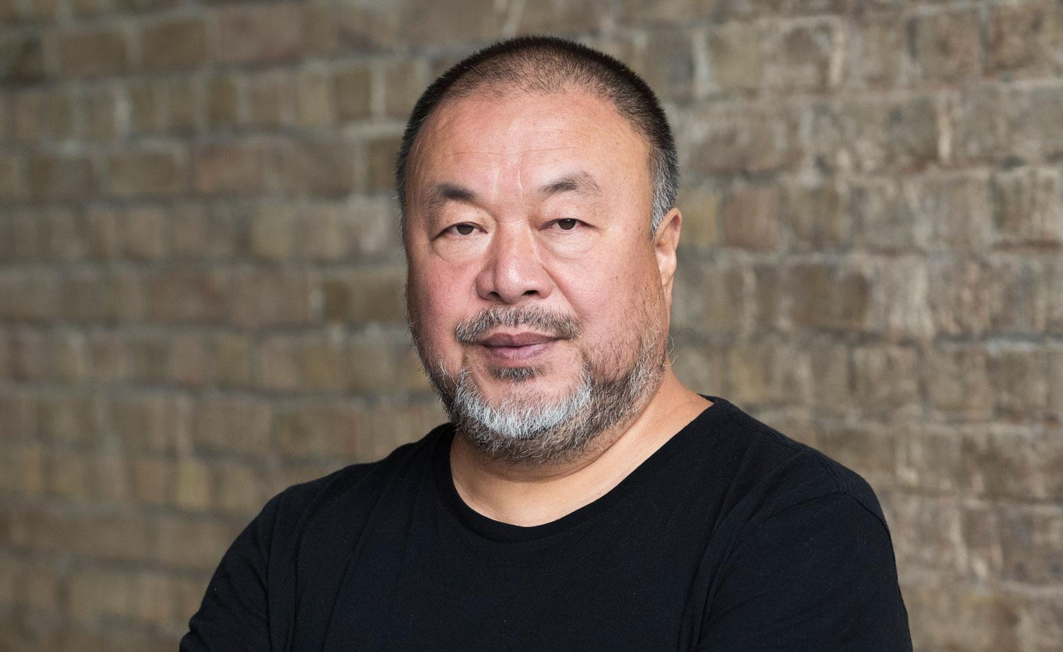 艺术家 Ai Weiwei 的葡萄牙新家 | 自然与宁静的避风港-2